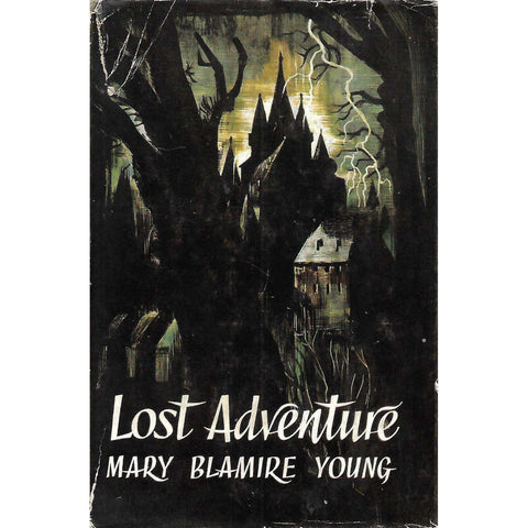Lost Adventure | Mary Blamire Young