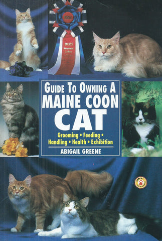 Guide to Owning a Maine Coon Cat | Abigail Greeme