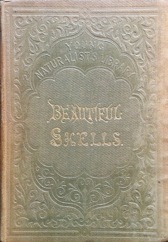 Beautiful Shells: Their Nature, Structure, and Uses (First Edition, 1855, with Hand-Coloured Plates) | H. G. Adams