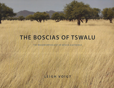 The Boscias of Tswalu: The Musomorphology of Boscia Albitrunca | Leigh Voigt