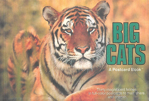 Big Cats: A Postcard Book (30 Postcards)