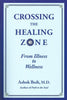 Crossing the Healing Zone: From Illness to Wellness | Ashok Bedi