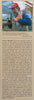The Genus Conophytum: A Conograph (Limited Edition) | Steven Hammer