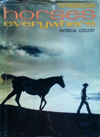 Introducing Horses Everywhere | Patricia Coleby