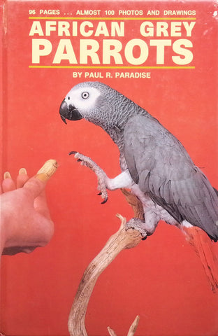 African Grey Parrots | Paul R. Paradise