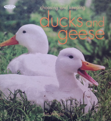 Choosing and Keeping Ducks and Geese | Liz Wright