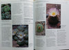 The Genus Conophytum: A Conograph (Limited Edition) | Steven Hammer