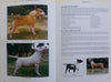 Bull Terriers of South Africa 1860 to 1999 | Colin Bohler