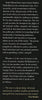 Another Voice II | Stephen Mulholland