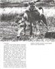 On Safari with Merton Paul in East Africa | Merton Paul