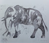 Elephants in Ink | Roswitha von Glehn