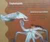 Cephalopods: Octopuses and Cuttlefishes for the Home Aquarium | Colin Dunlop & Nancy King