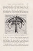 The Surgical Treatment of Hypertension (Published 1938) | George Crile