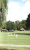 The Country Club Johannesburg: The Legend Lives On, 1906-2006 | Ivor Sander