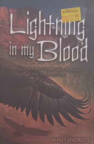 Lightning in my Blood: A Journey into Shamanic Healing & the Supernatural | James Endredy
