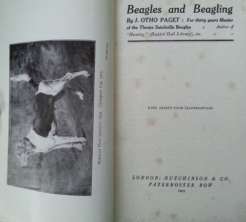 Beagles and Beagling (First Edition, Published 1923) | J. Otho Paget