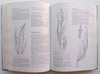 Grasses of Southern Africa: An Identification Manual | G. E. Gibbs Russell, et al.
