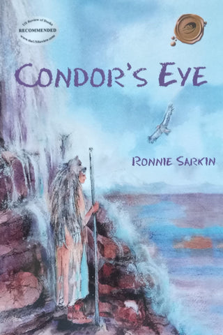 Condor’s Eye | Ronnie Sarkin
