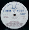 Birds of Zululand Vol. 1 (45RPM Record) | Clem Haagner