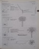Dictionary of Names for Southern African Trees (Inscribed by Authors) | Braam van Wyk, Erika van den Berg, et al.