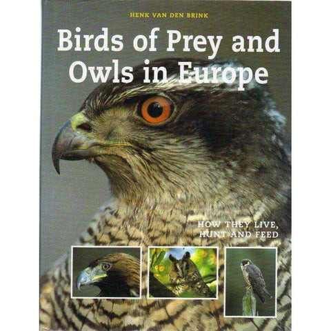 Birds of Prey and Owls in Europe: How They Live, Hunt and Feed | Henk Van Den Brink