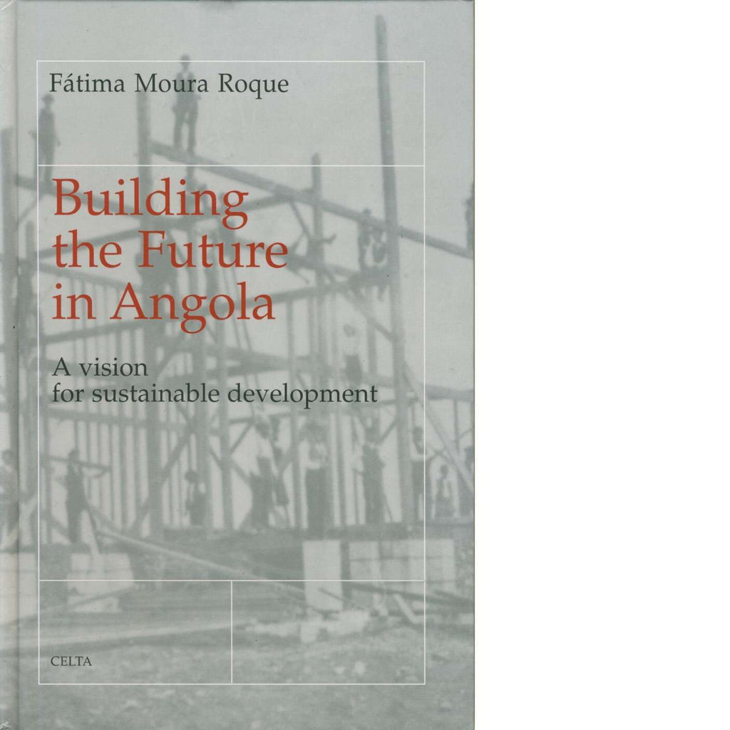 Bookdealers:Building the Future in Angola | Fatima Moura Roque