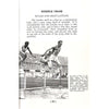 Bookdealers:Athletic Equipment: A Guide for the Organisation of Track and Field Events | Ernst Jokl & Elizabeth Jooste