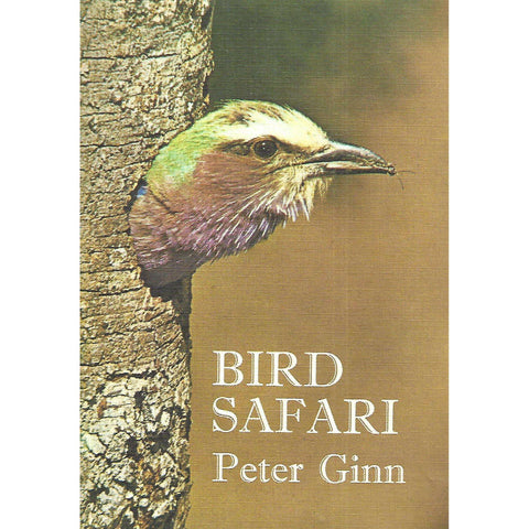 Bird Safari | Peter Ginn