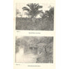 Bookdealers:Botanical Survey of Natal and Zululand | R. D. Aitken & G. W. Gale