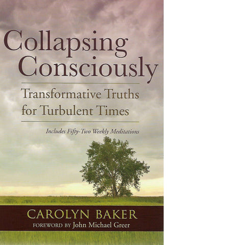 Collapsing Consciously: Transformative Truths for Turbulent Times | Carol Baker