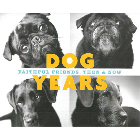Dog Years: Faithful Friends, Then & Now | Amanda Jones