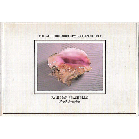 Familiar Seashells: North America