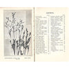 Bookdealers:Grasses and Rushes and How to Identify Them | J. H. Crabtree