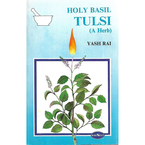 Holy Basil, Tulsi (A Herb) | Yash Rai