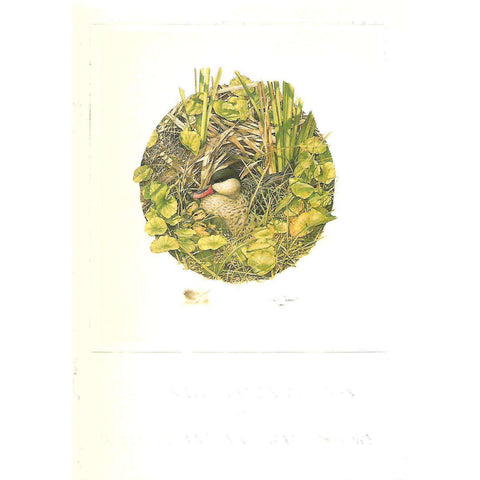 International Exhibition of Wildlife and Natural History (Invitation to the Exhibition)