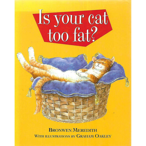 Is Your Cat Too Fat? | Bronwen Meredith