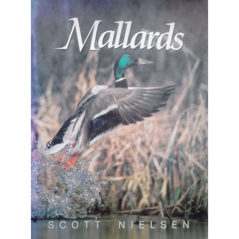 Mallards | Scott Nielsen