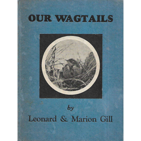 Our Wagtails | Lonard & Marion Gill