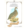 Bookdealers:Partial Proceedings of the Gamebird Symposium: Supplement 1 | P. le S. Milstein & Elsabe Middleton (Eds.)