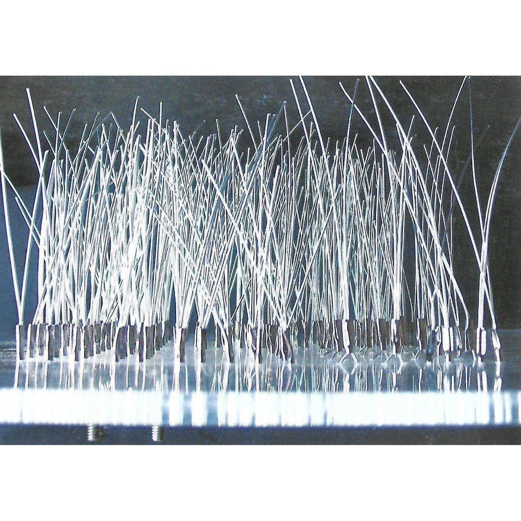 Bookdealers:Paula Louw: Soft Return (Invitation to the Exhibition)