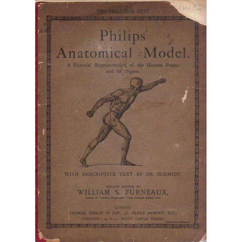 Philips' Anatomical Model: A Pictorial Representations of the Human Frame and its Organs | William S. Furneaux