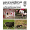 Bookdealers:Pot Bellies and Other Miniature Pigs: A Complete Pet Owner's Guide | Pat Storer