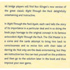 Bookdealers:Right Through the Pack Again (Master Bridge Series) | Ron Klinger