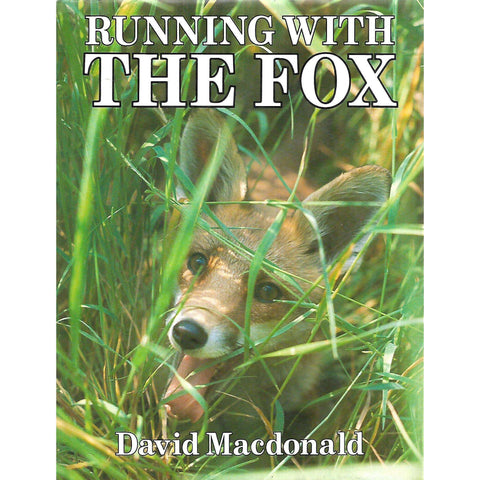 Running with the Fox | David Macdonald