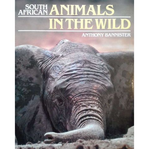South African Animals in the Wild | Anthony Bannister