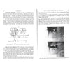 Bookdealers:The Dental Treatment of Maxillo-Facial Injuries (Published 1944) | W. Kelsey Fry, et al.