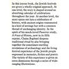 Bookdealers:The Festivals: A History of Jewish Celebration | Chaim Raphael