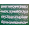 Bookdealers:The R.H.S. Encyclopedia of House Plants | Kenneth A. Beckett