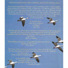 Bookdealers:The Snow Geese (Signed by Author) | William Fiennes