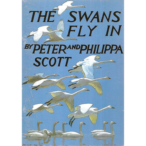 The Swans Fly In | Peter and Philippa Scott